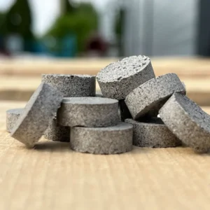 rhizobio